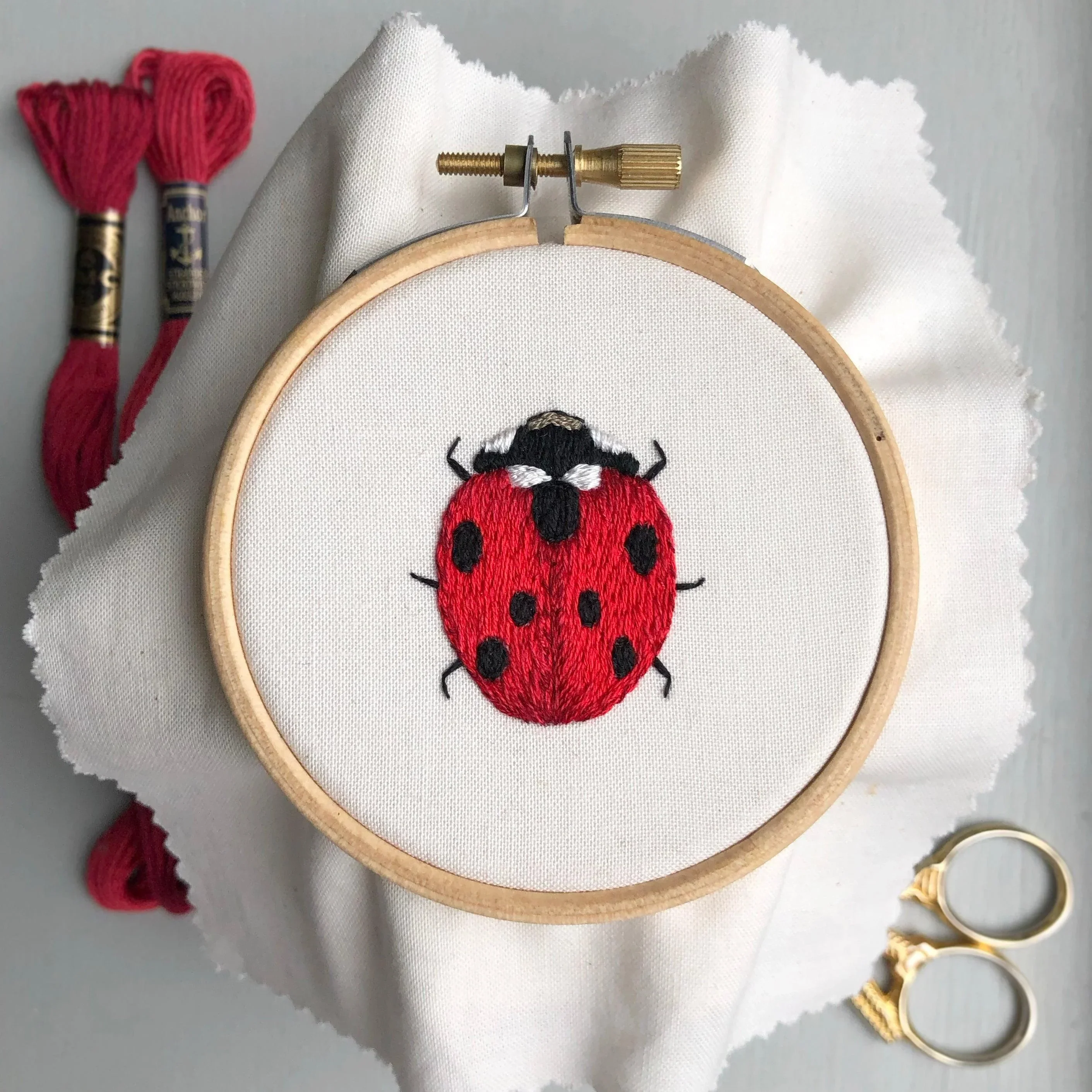 Iron-On Embroidery Patterns: Insect & Bug Themed Designs - Image 9